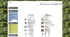 Desktop Screenshot of dechelotte.com